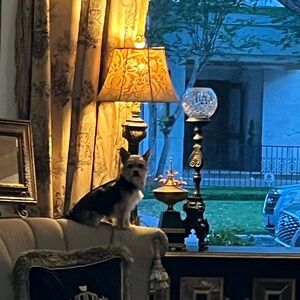 Meet your Posher, Diana